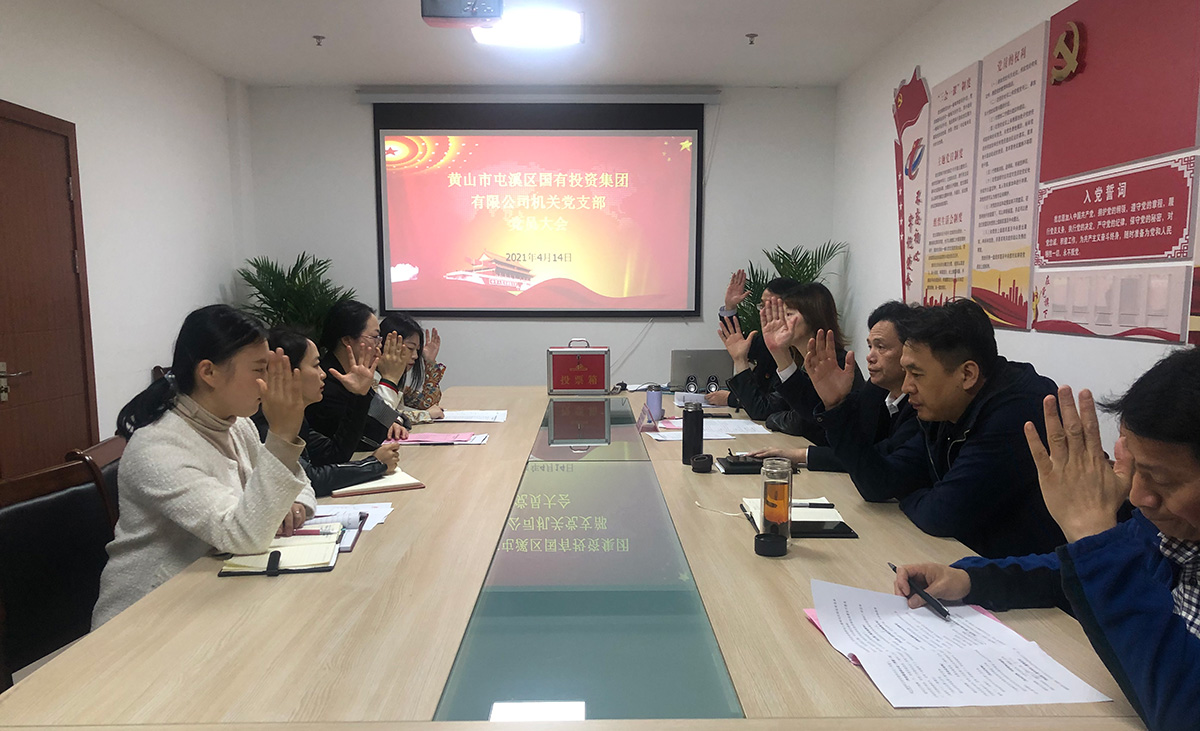 屯溪區(qū)國投集團(tuán)機關(guān)黨支部成立暨第一屆支部委員會選舉大會勝利召開