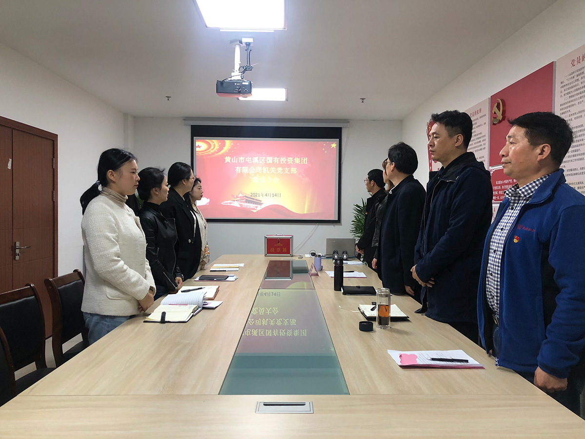 屯溪區(qū)國投集團(tuán)機關(guān)黨支部成立暨第一屆支部委員會選舉大會勝利召開