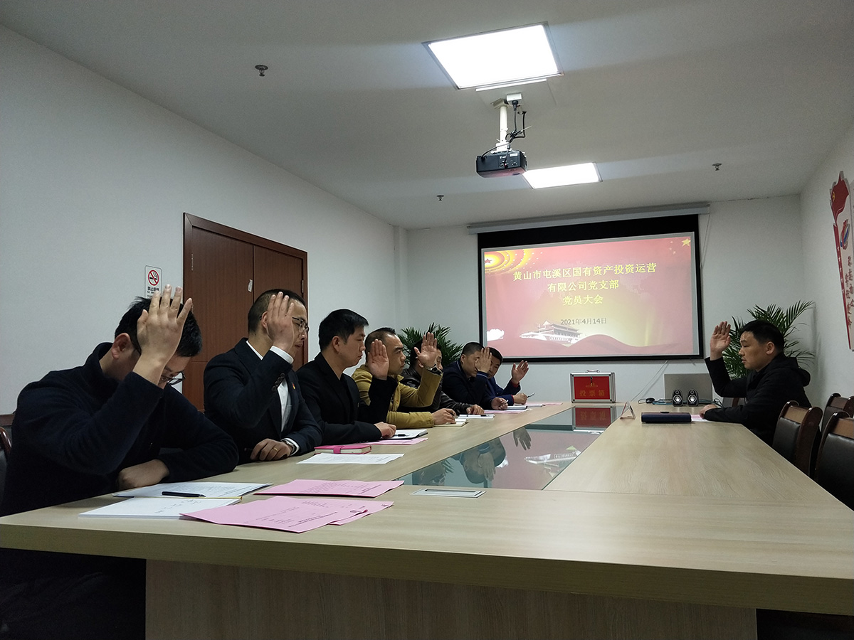 屯溪區(qū)國投集團(tuán)機關(guān)黨支部成立暨第一屆支部委員會選舉大會勝利召開